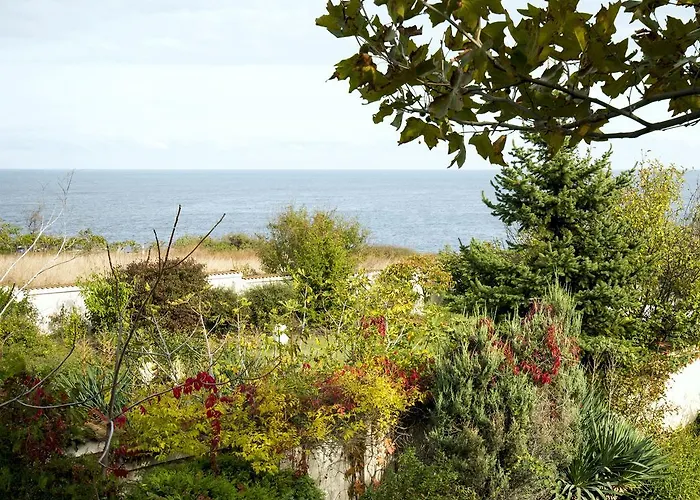 펜션 Art Provence House 로제넷츠